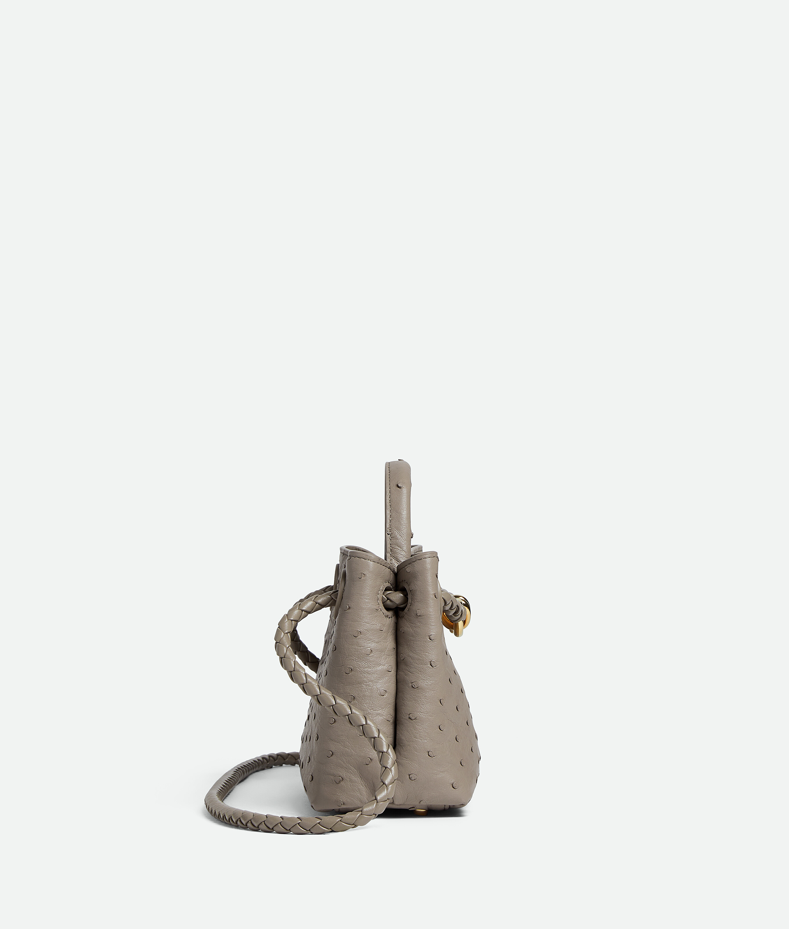 Shop Bottega Veneta Mini Andiamo