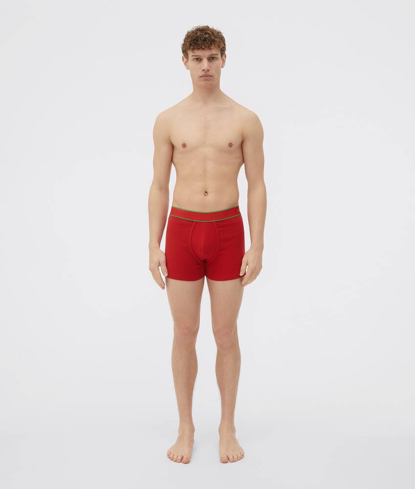 Display a large version of the product image 1 - boxer briefs