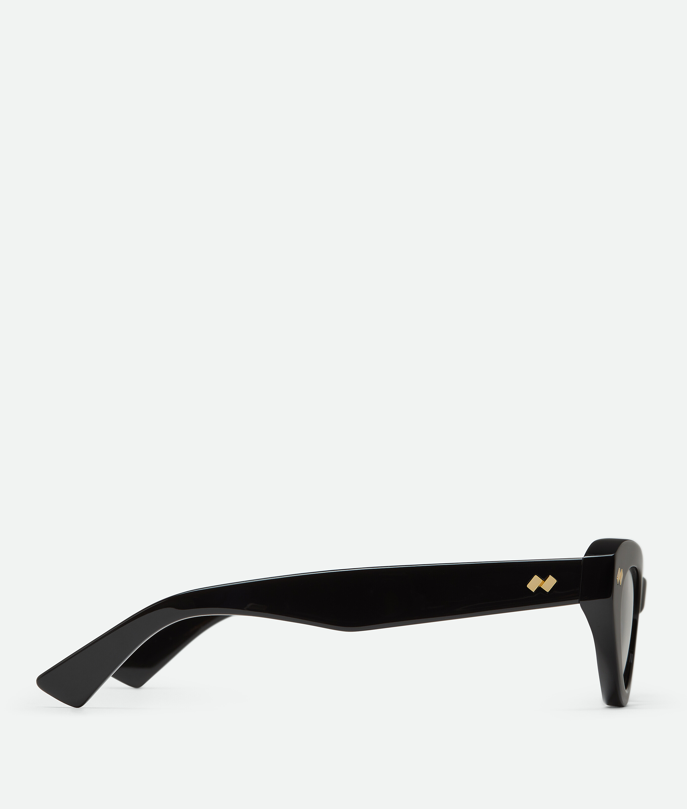 Bottega Veneta Full-frame Flat Mirror In Black/transparent