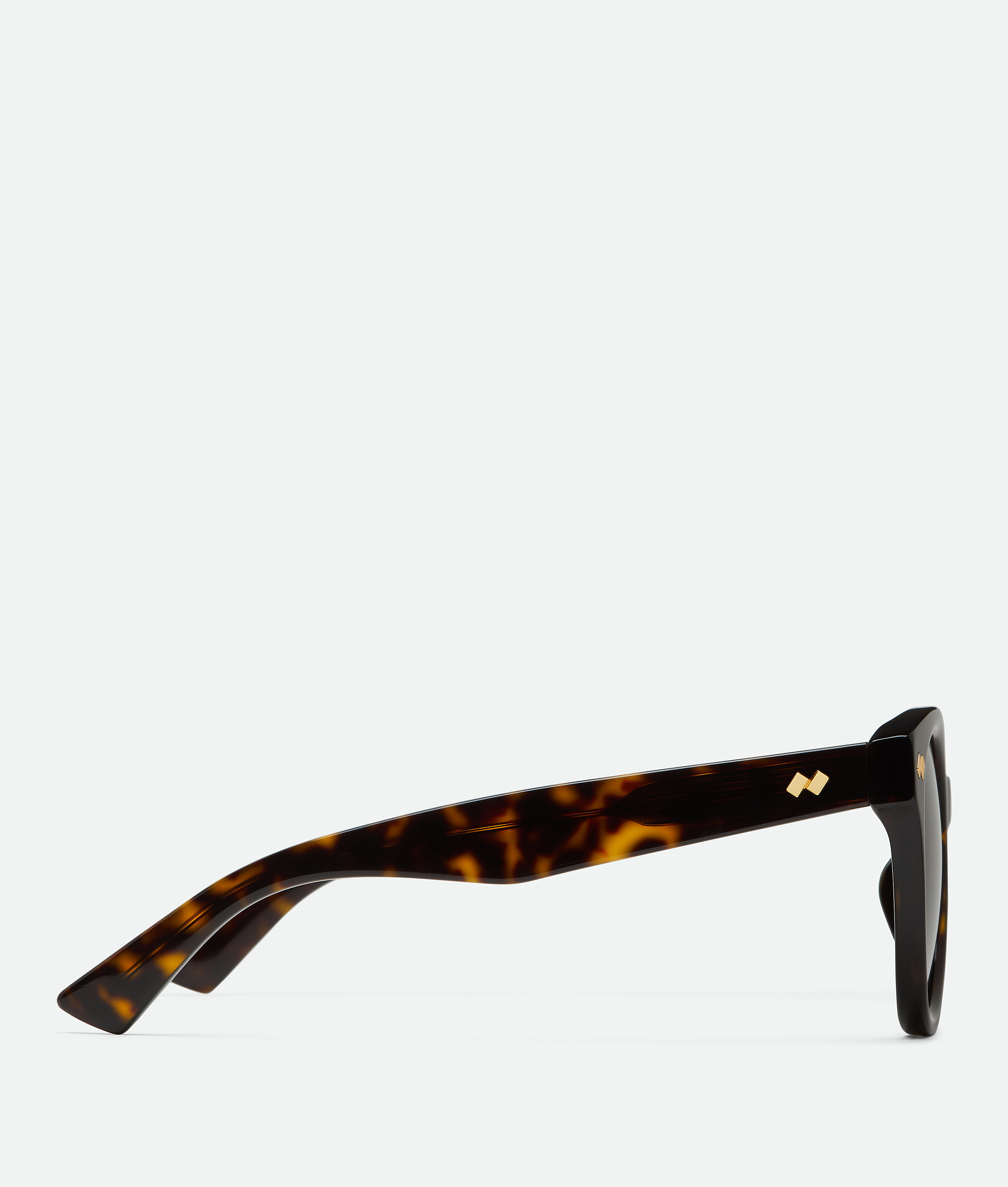 Bottega Veneta Full Frame Sunglasses In Havana/brown