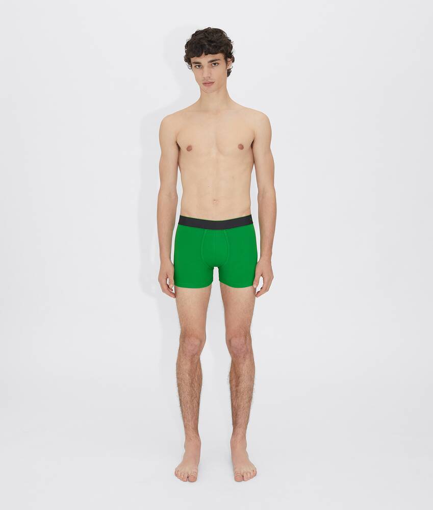 Display a large version of the product image 1 - boxer briefs