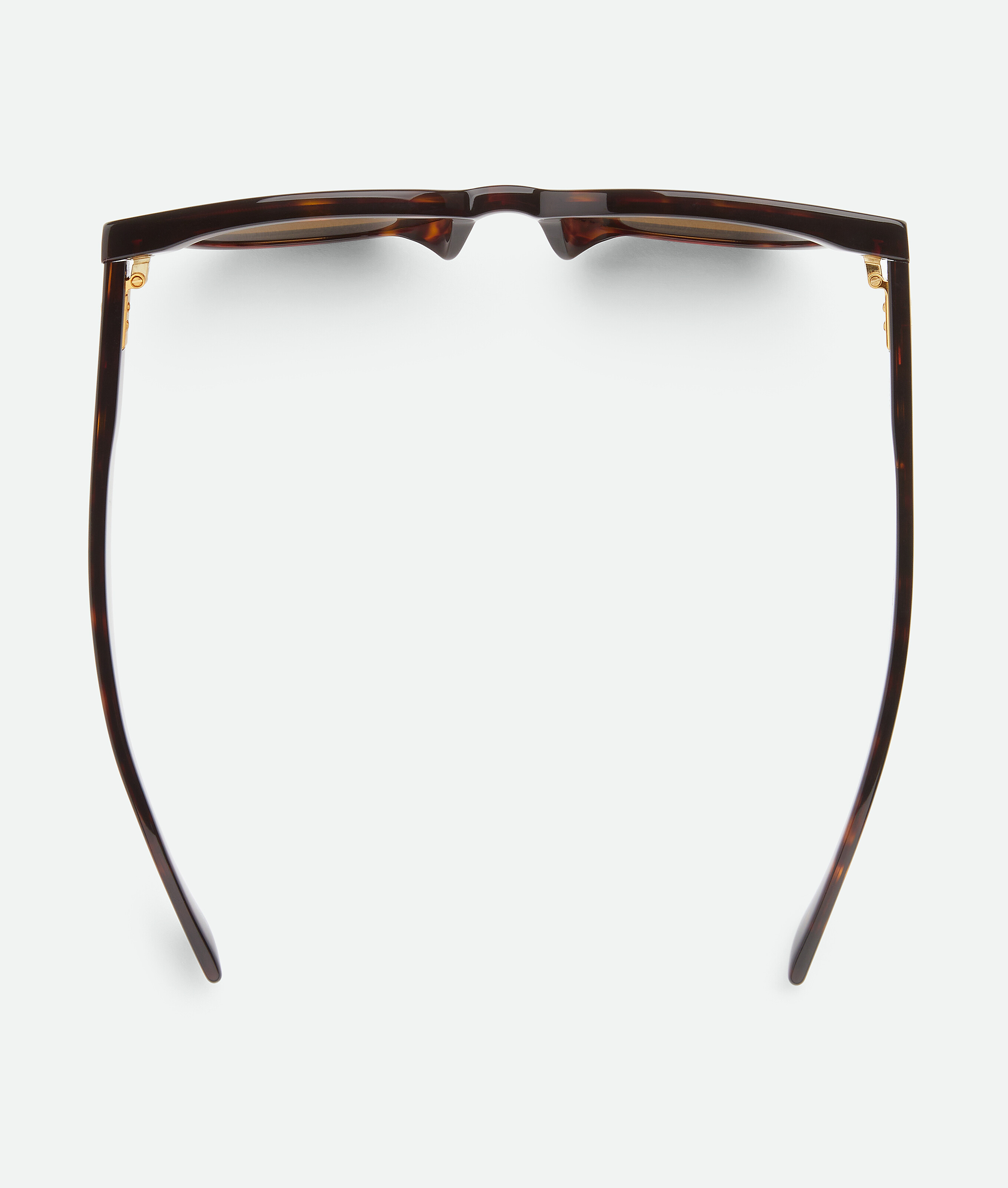 Bottega Veneta Full Frame Sunglasses In Havana/brown