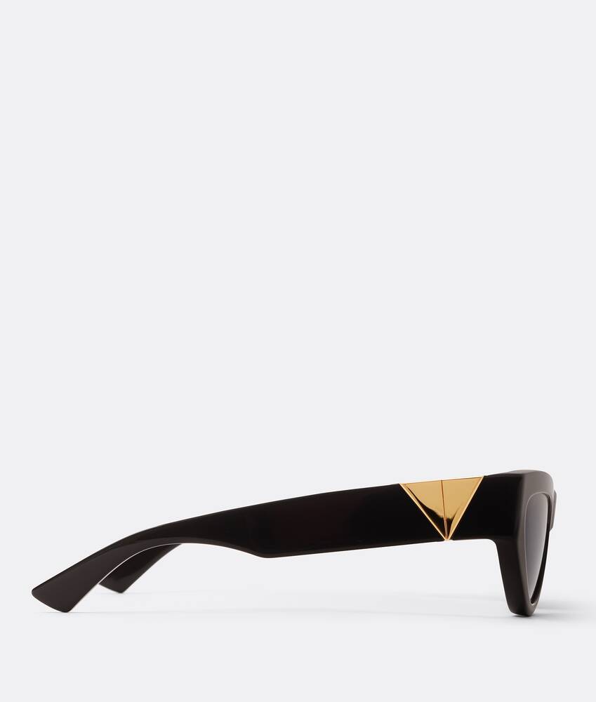 Bottega Veneta® Women's Angle Acetate Pointed Cat Eye Sunglasses