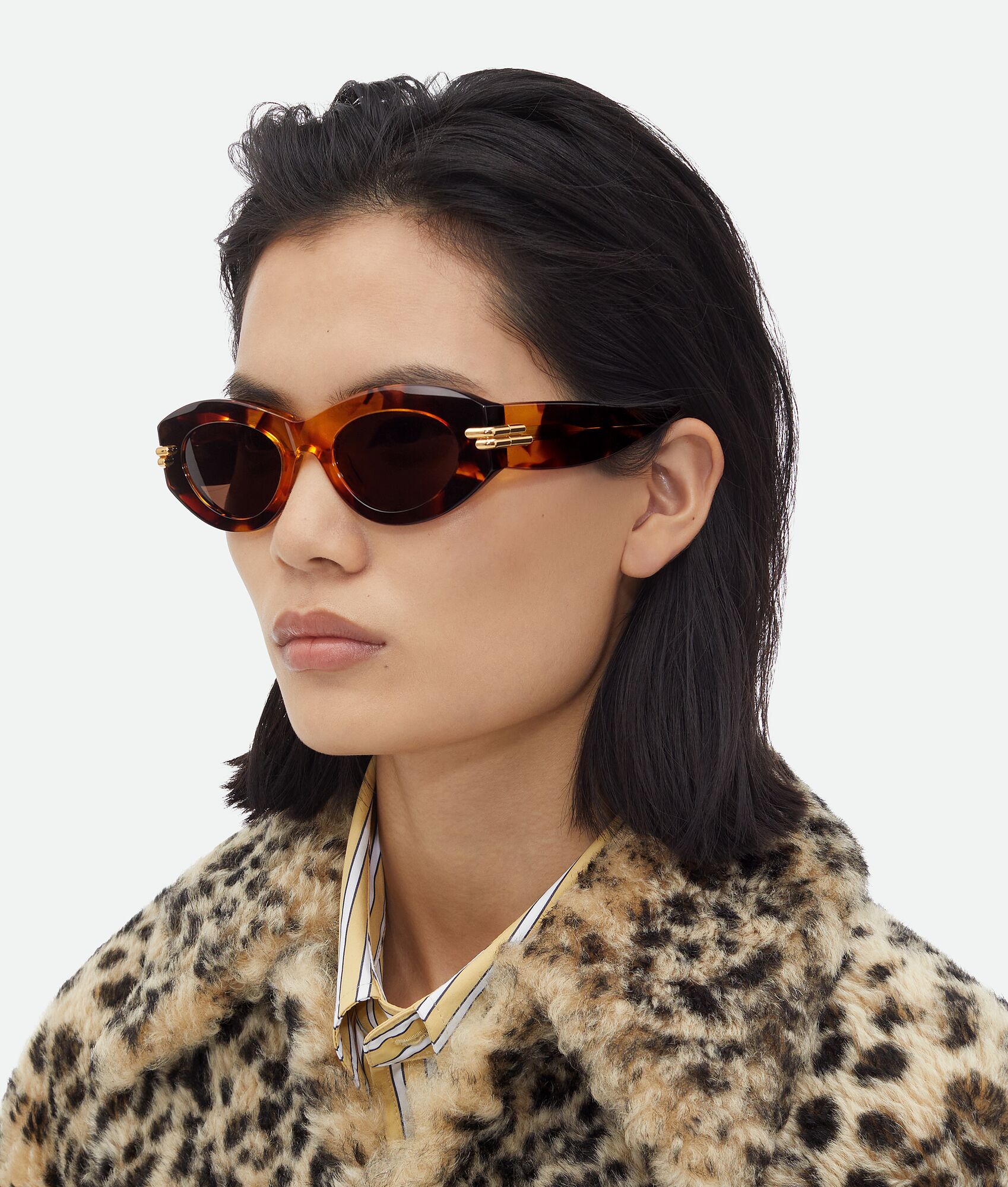 Mitre Oval Sunglasses In Havana brown Bottega Veneta US mitre-oval-sunglasses-in-havana-brown-bottega-veneta-us
