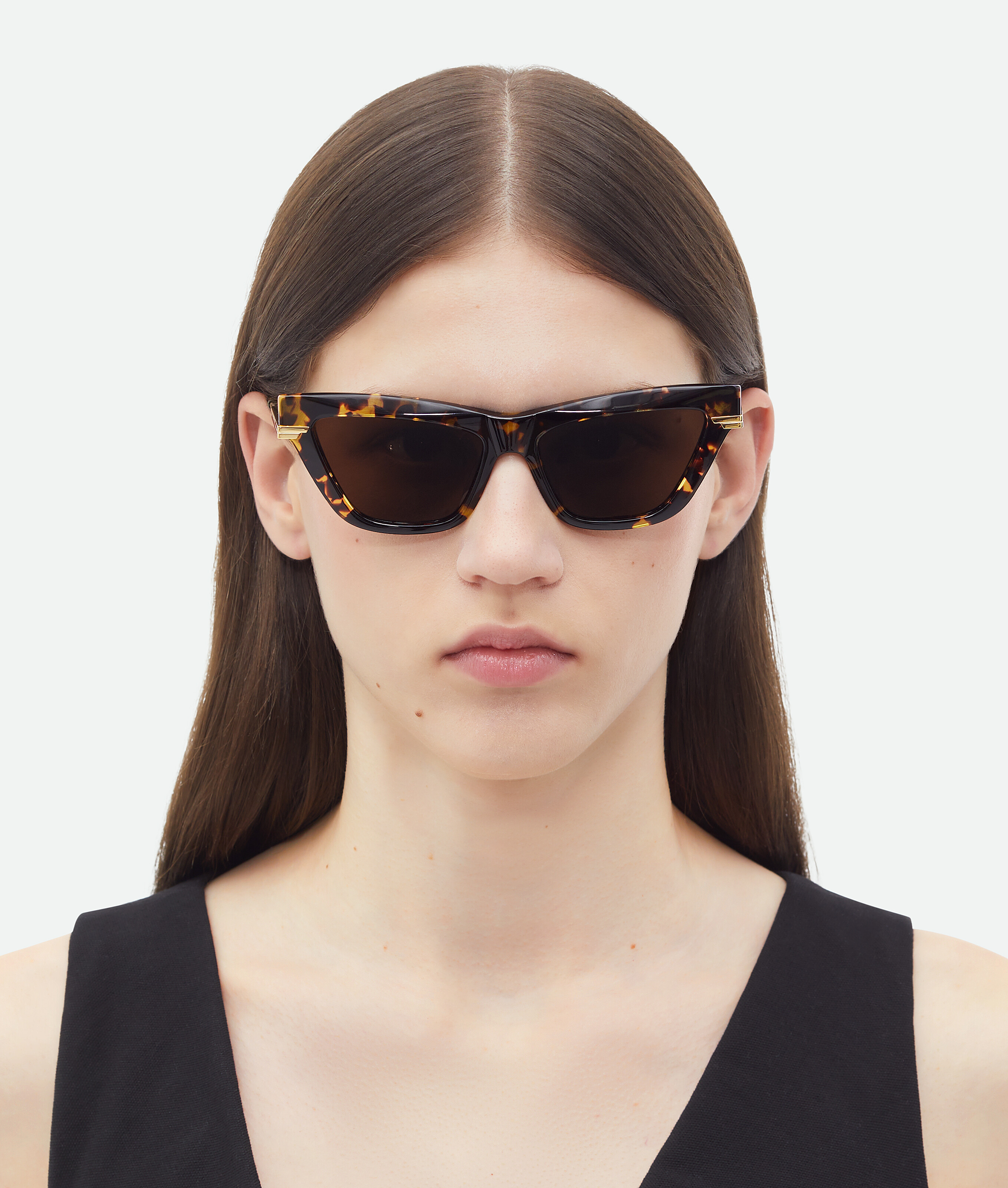 Shop Bottega Veneta Classic Acetate Cat Eye Sunglasses In Brown