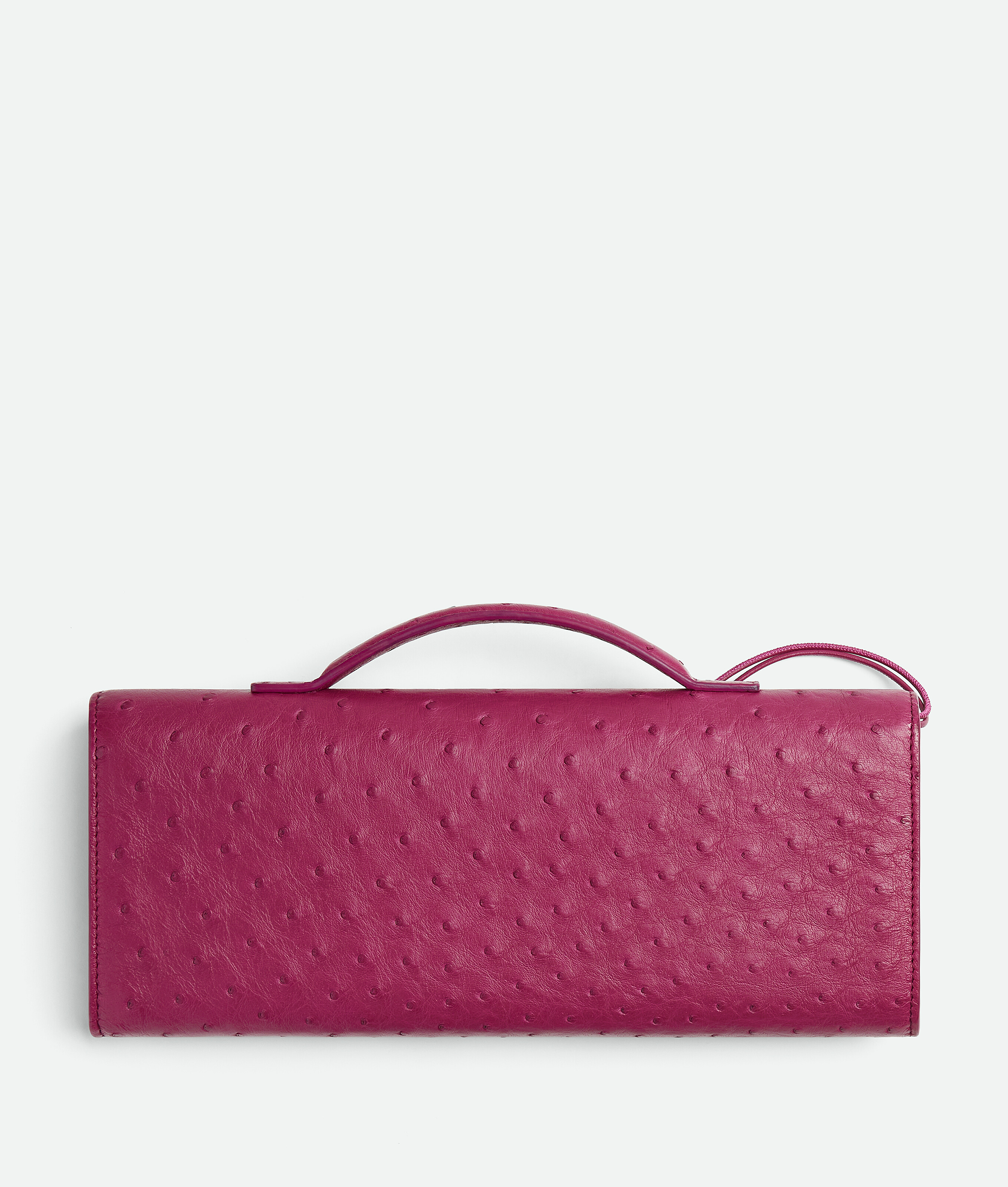 Bottega Veneta Andiamo Clutch