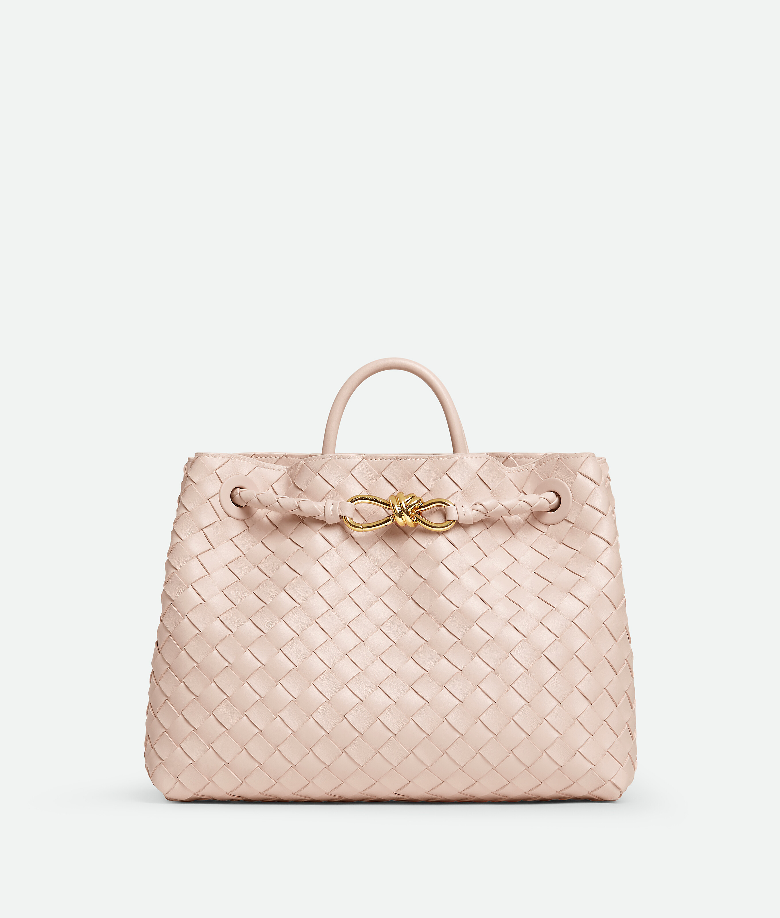 Bottega Veneta Small East-west Andiamo Bag In Neutral