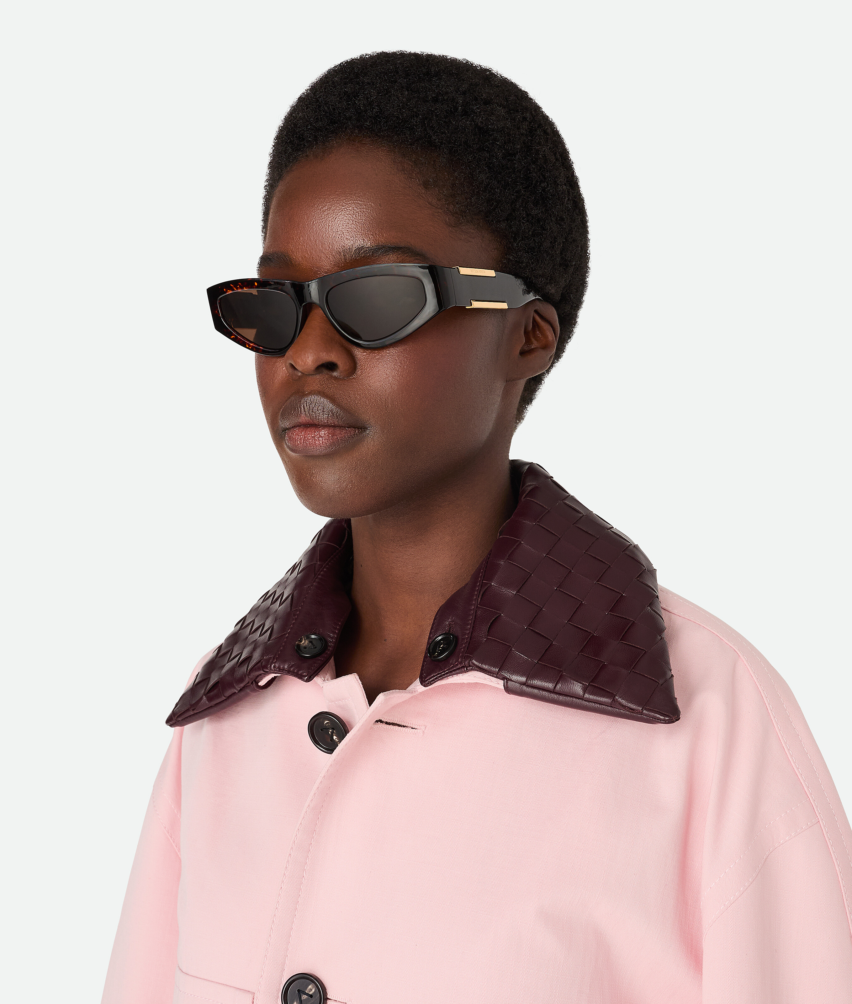 Bottega Veneta Dash Cat Eye Sunglasses In Brown