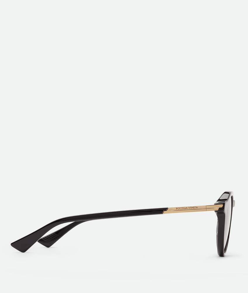 Display a large version of the product image 3 - Forte Panthos Sunglasses