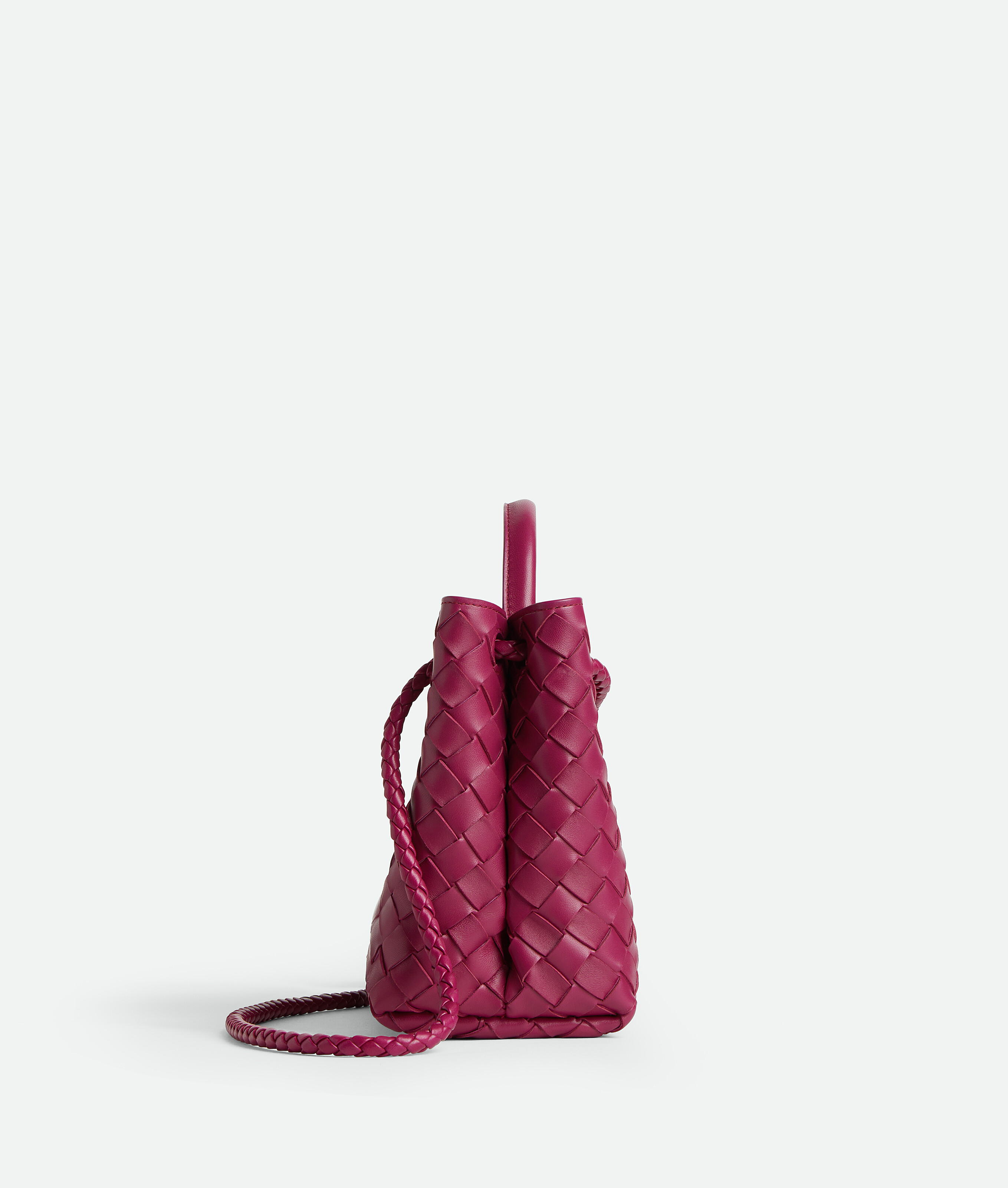 Bottega Veneta Small Andiamo Bag