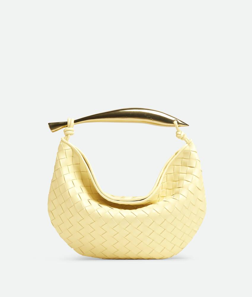 The Bottega Veneta Sardine Handbag