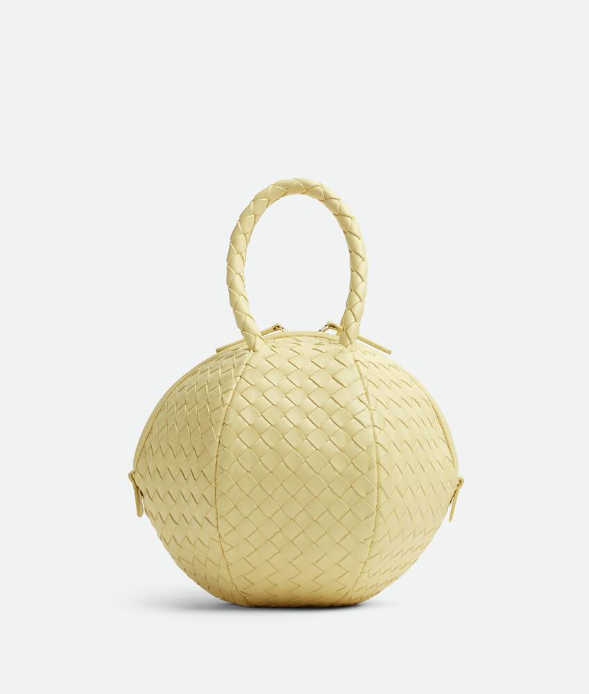 Bottega veneta round bag Outlet