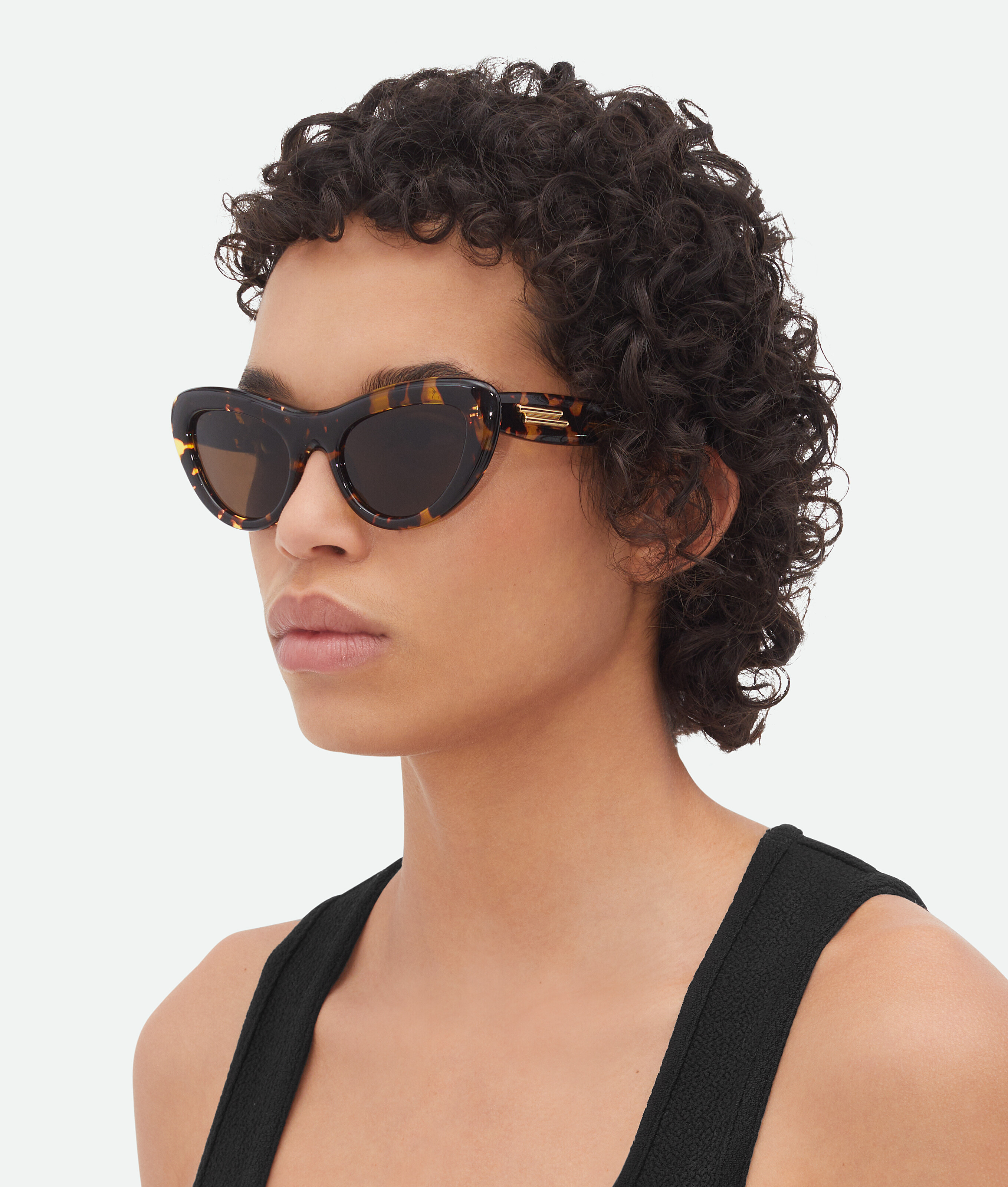 Bottega Veneta Bombe Cat Eye Sonnenbrille In Havana/brown