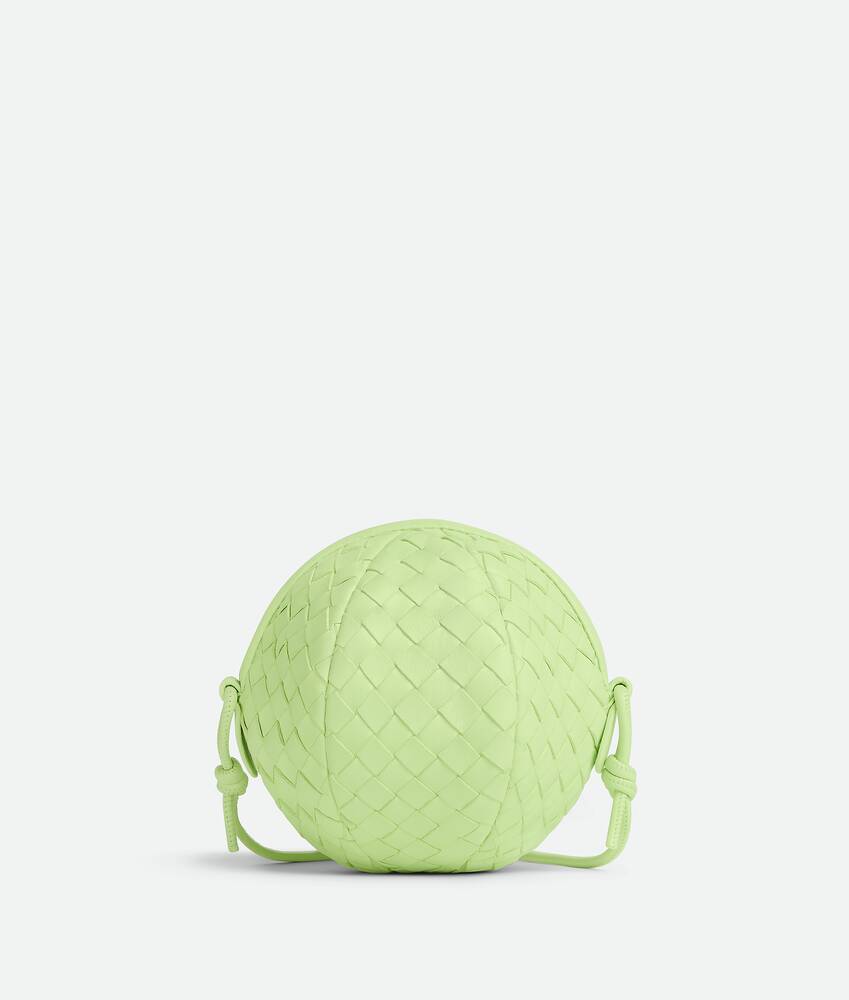 Bottega veneta round bag Outlet