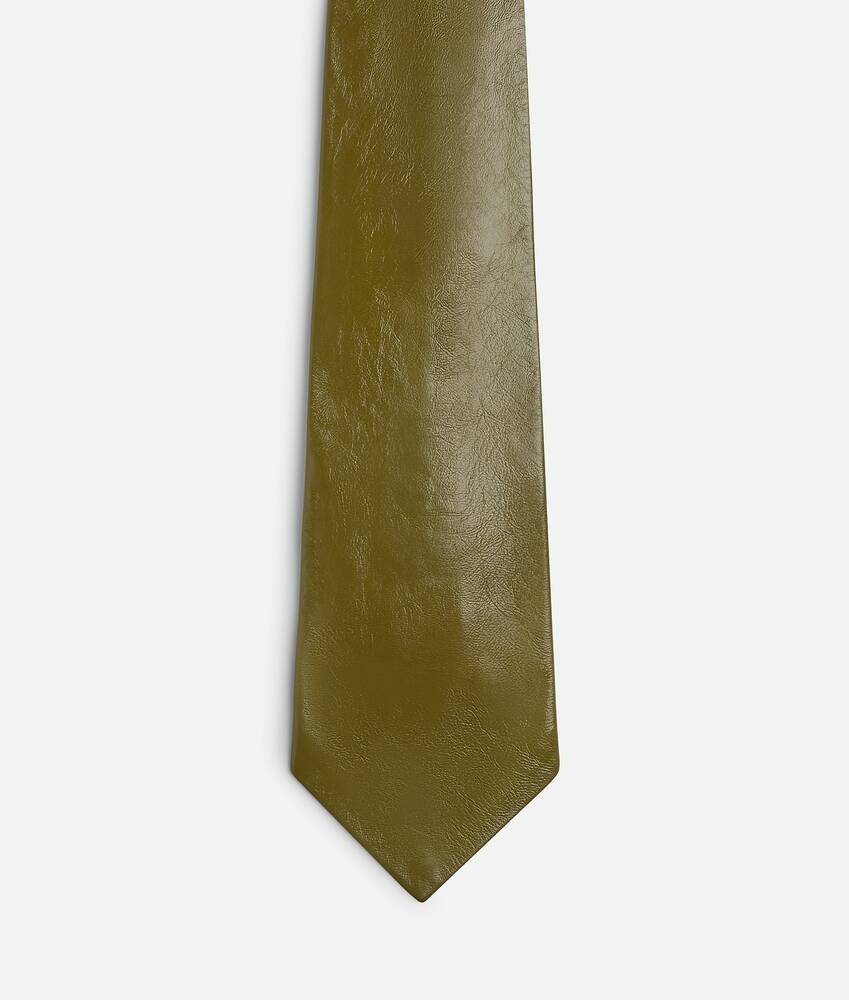 Display a large version of the product image 1 - Shiny Leather Tie