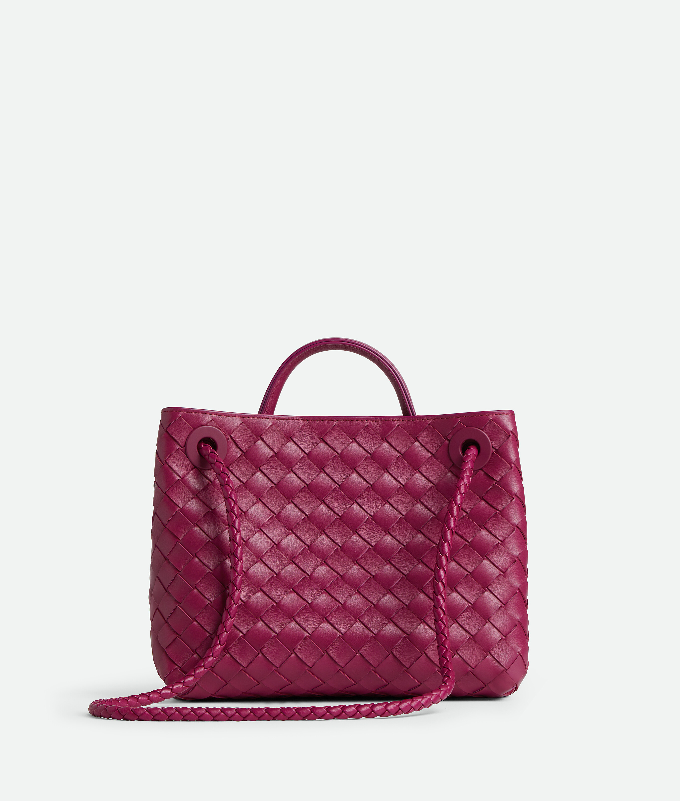 Bottega Veneta Small Andiamo Bag