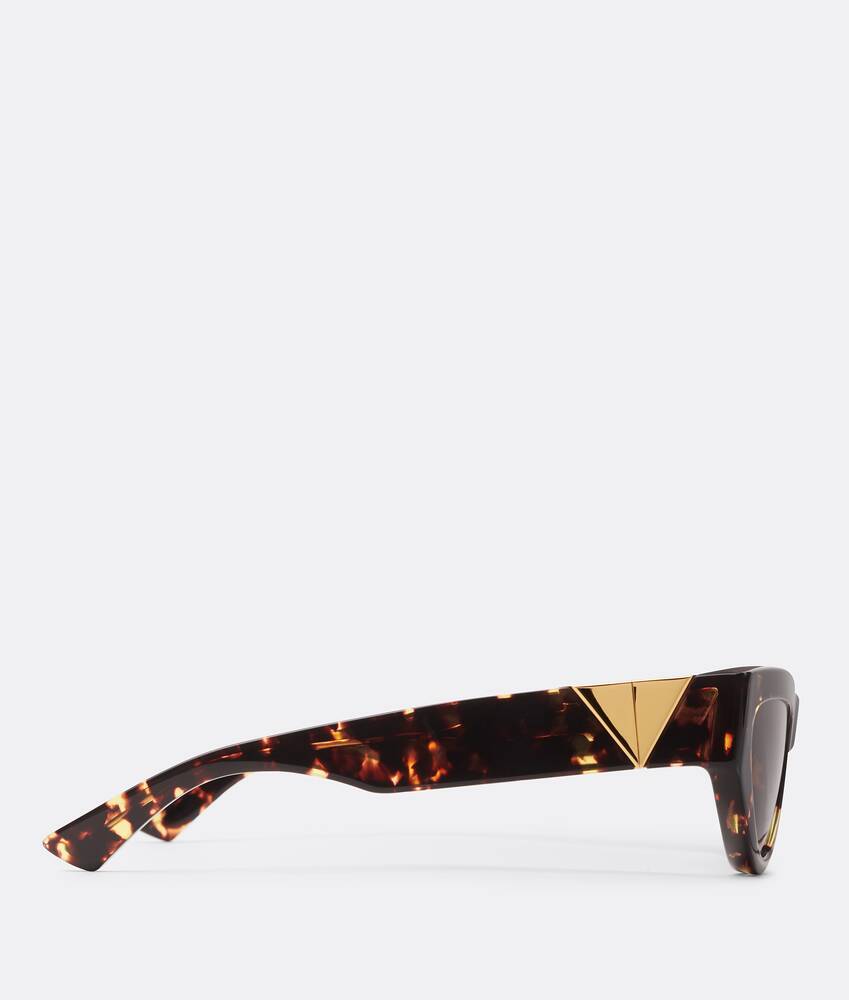 Display a large version of the product image 3 - Angle Acetate Cat-Eye Sunglasses