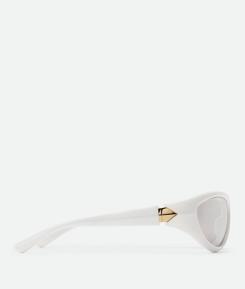 Display a large version of the product image 3 - Curve Sporty Cat Eye Injected Acetate Sunglasses