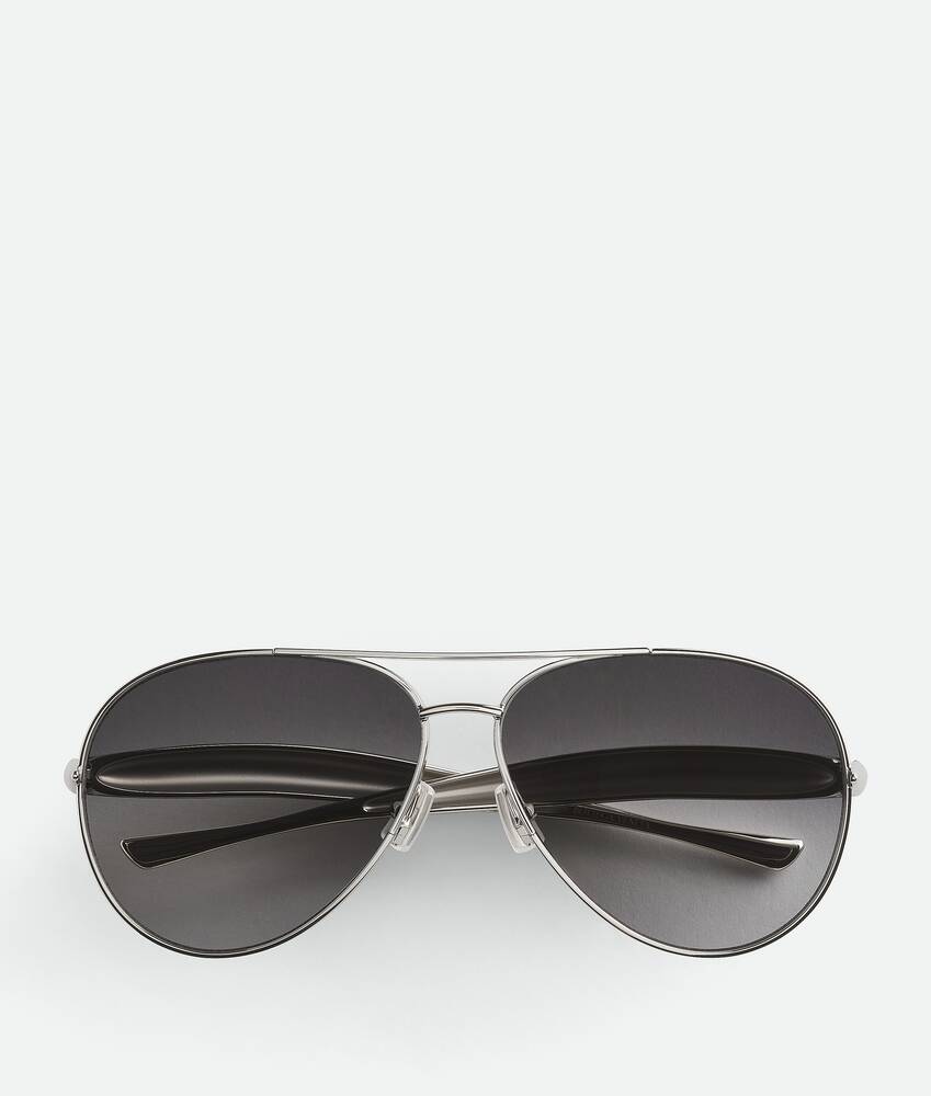 Display a large version of the product image 1 - Sardine Aviator Sunglasses