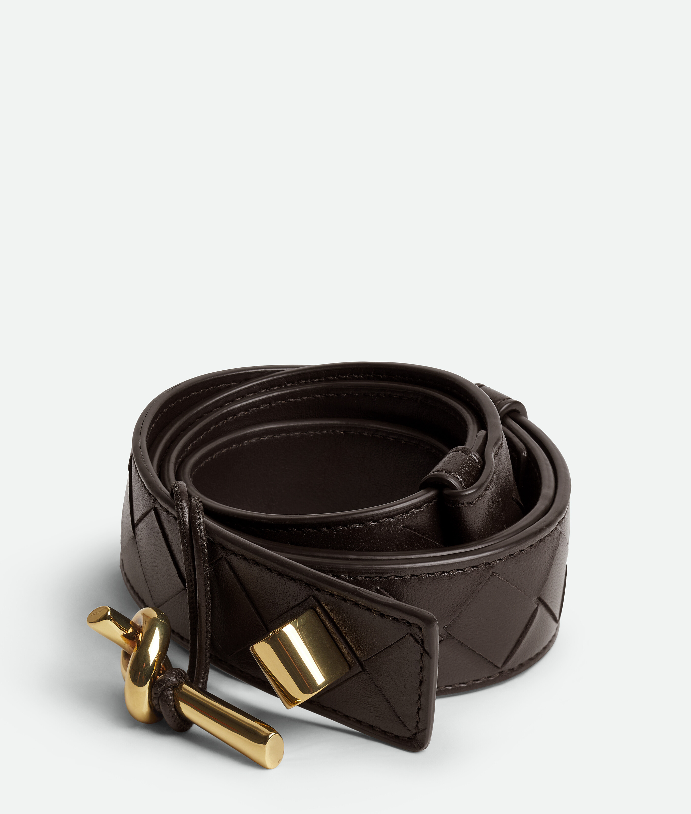 Shop Bottega Veneta Andiamo Belt In Fondant