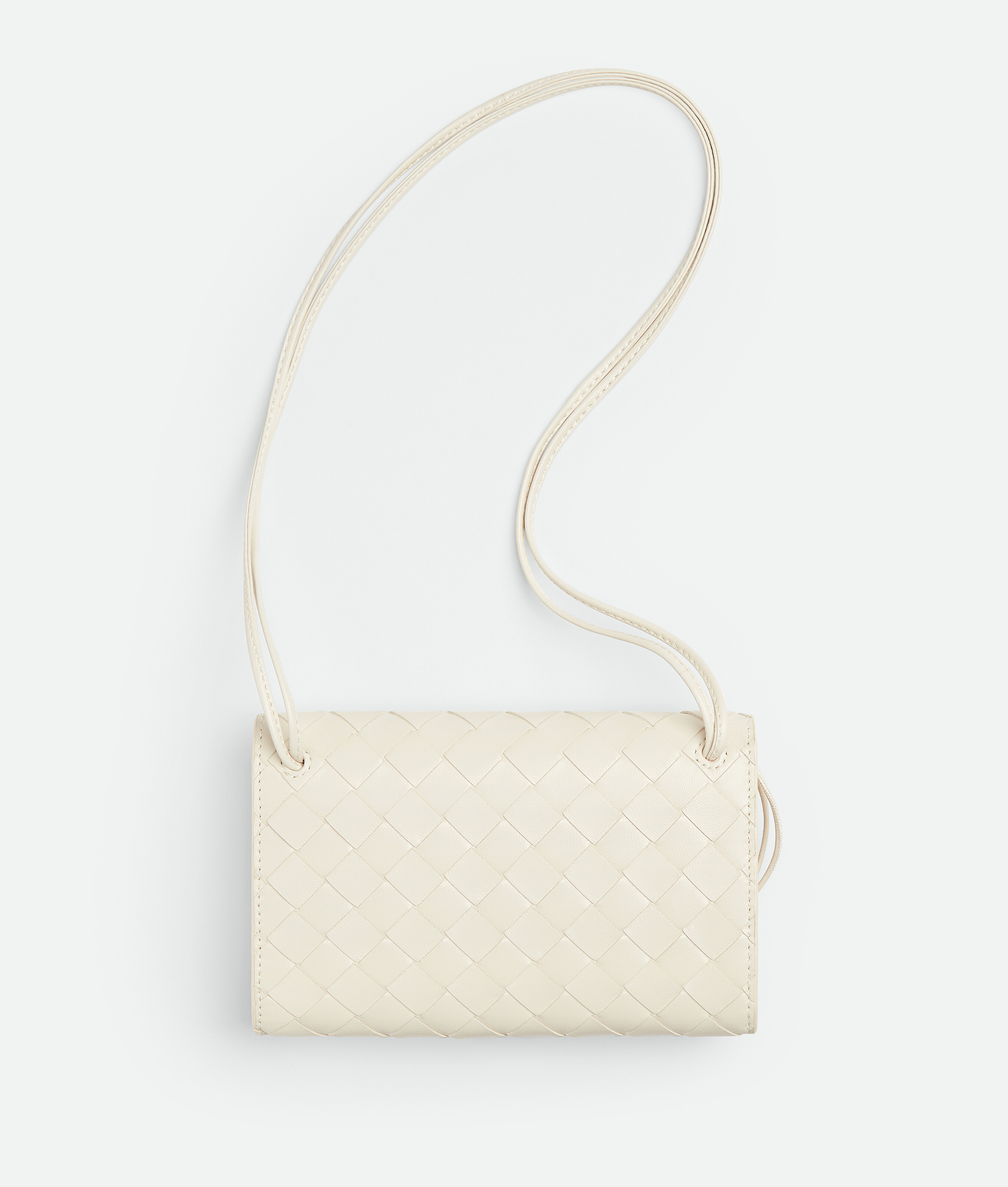 Bottega Veneta Andiamo Pouch