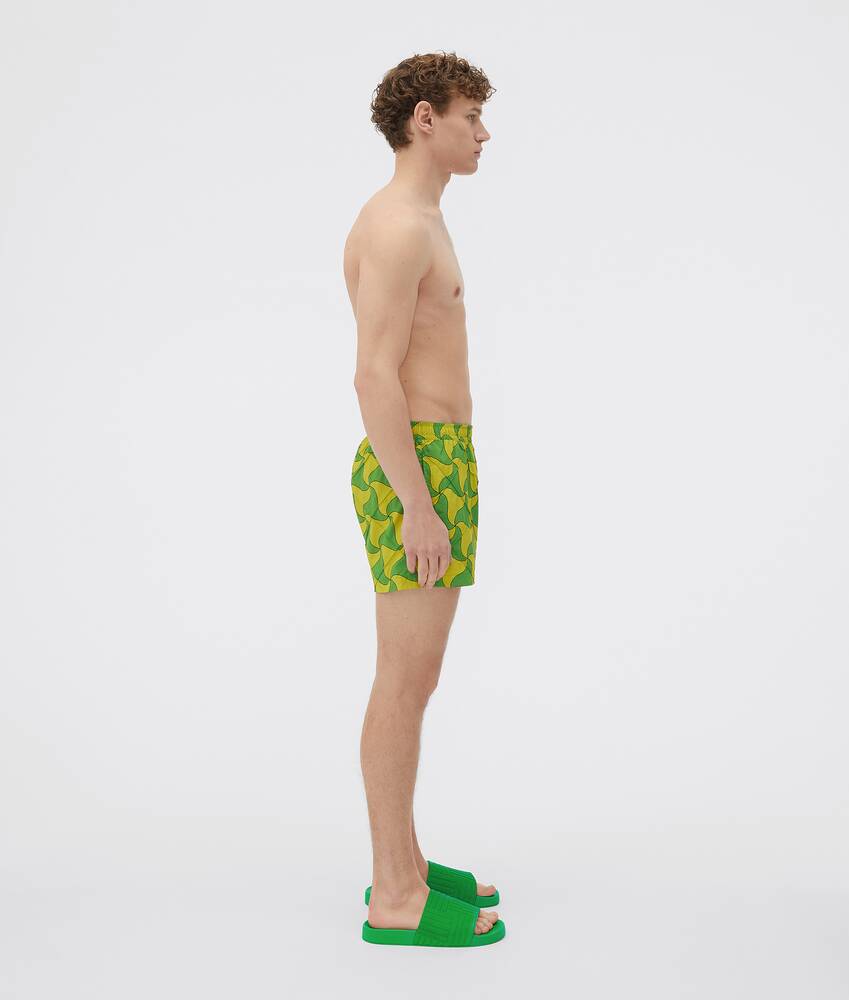 Display a large version of the product image 2 - Swim Shorts