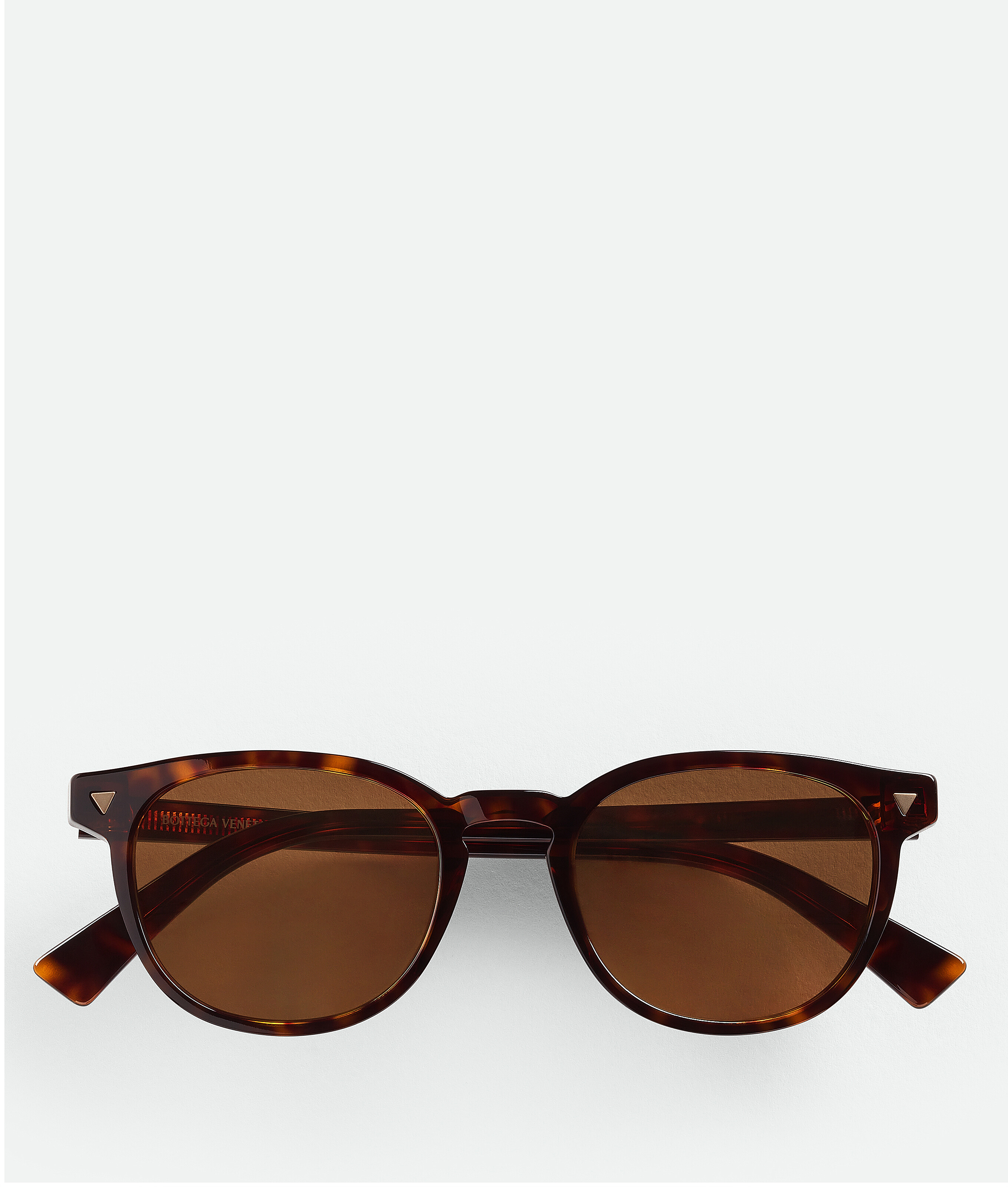 Bottega Veneta Soft Recycled Acetate Panthos Sunglasses In Brown