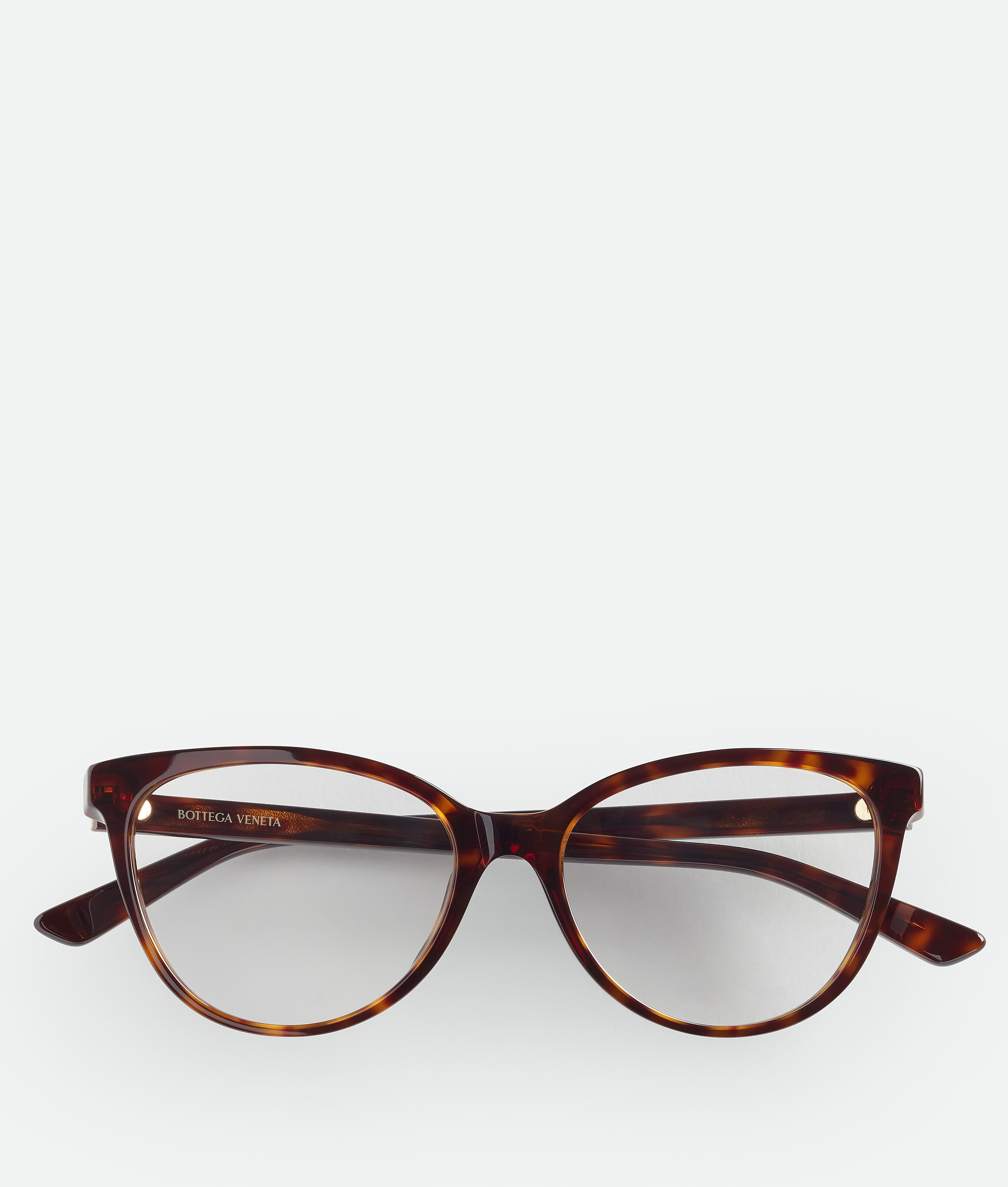 Bottega Veneta Classic Brille In Cat-eye-form In Havana/transparent