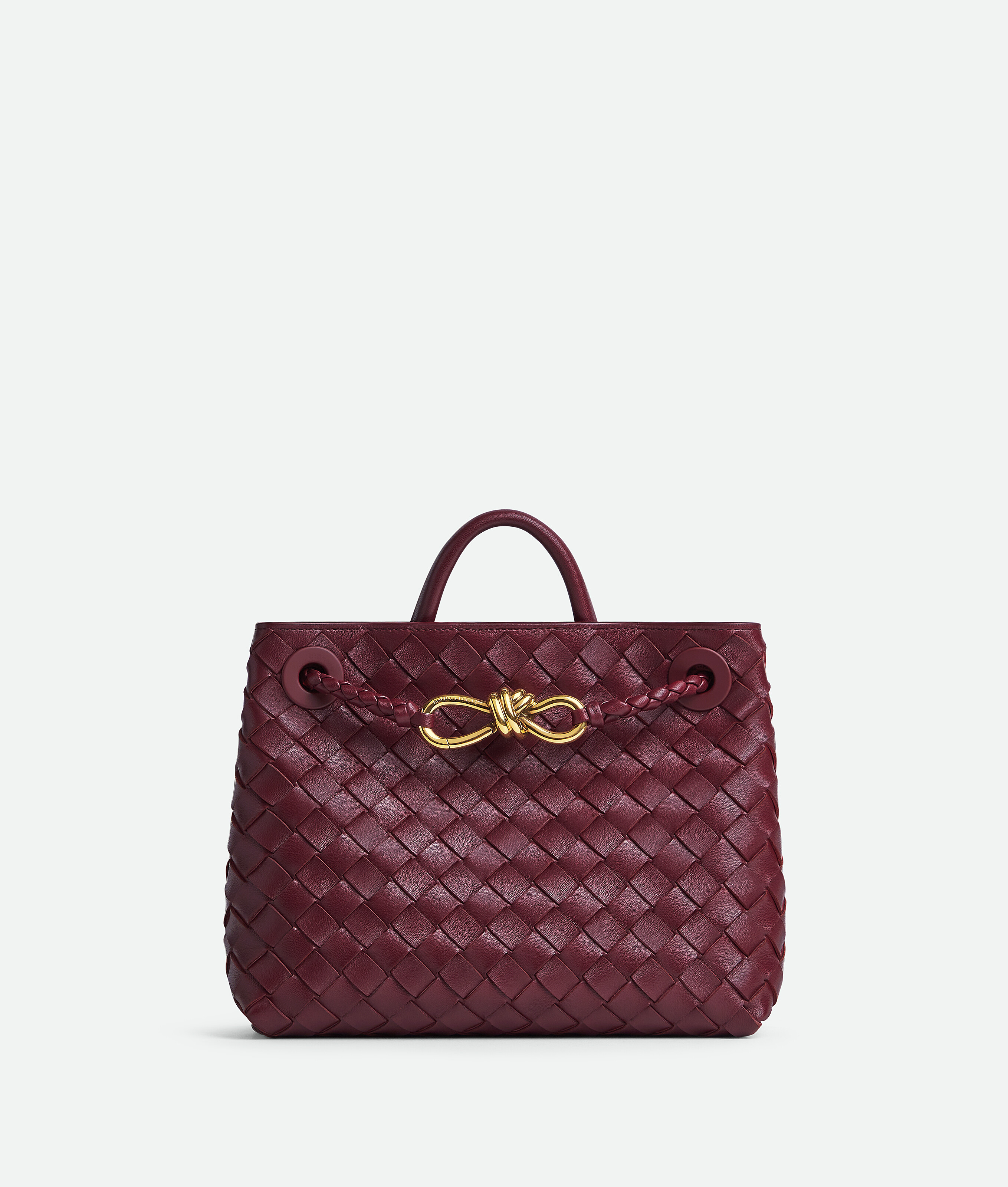 Bottega Veneta Small Leather Andiamo Top-handle Bag In Barolo