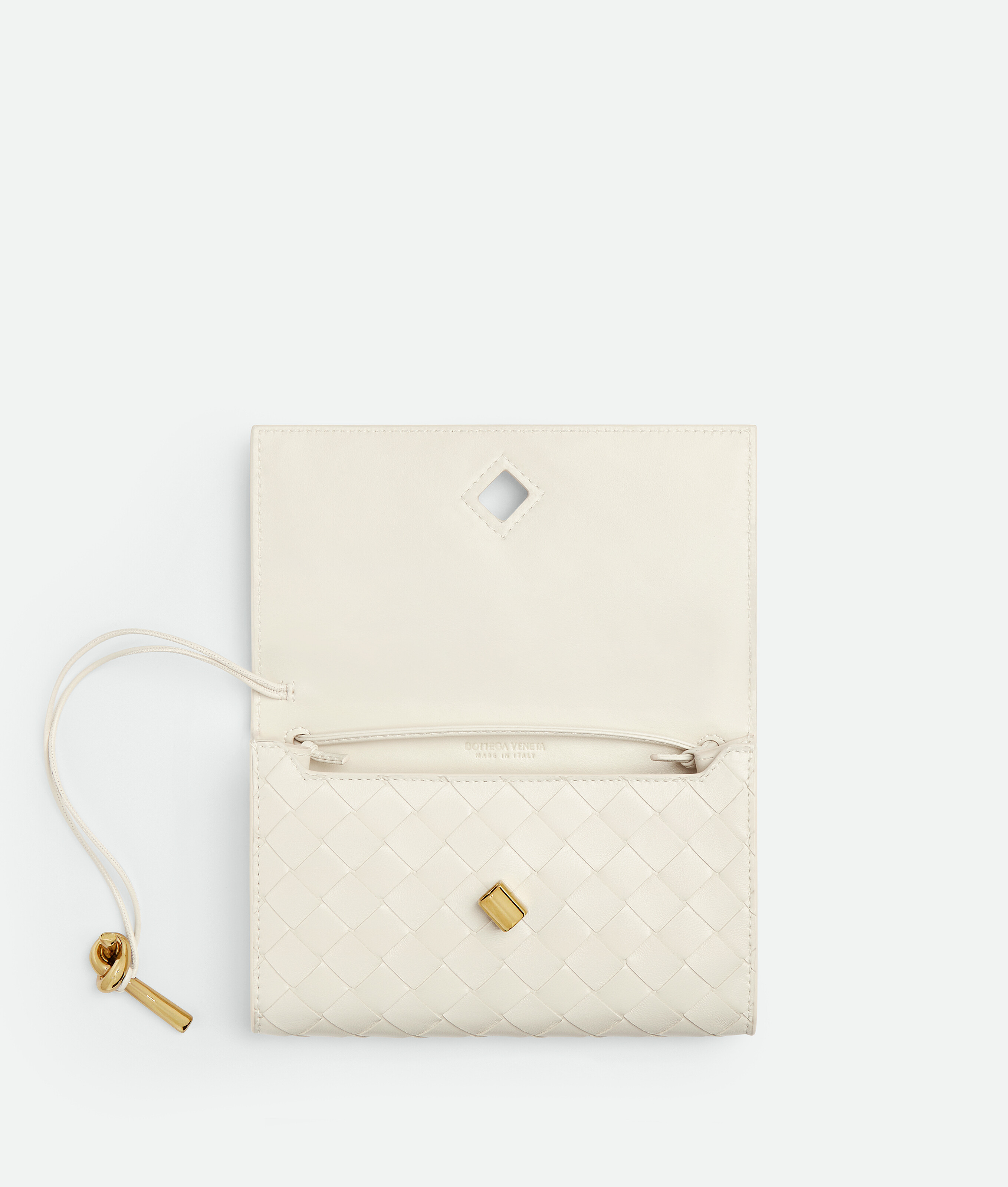 Bottega Veneta Andiamo Pouch