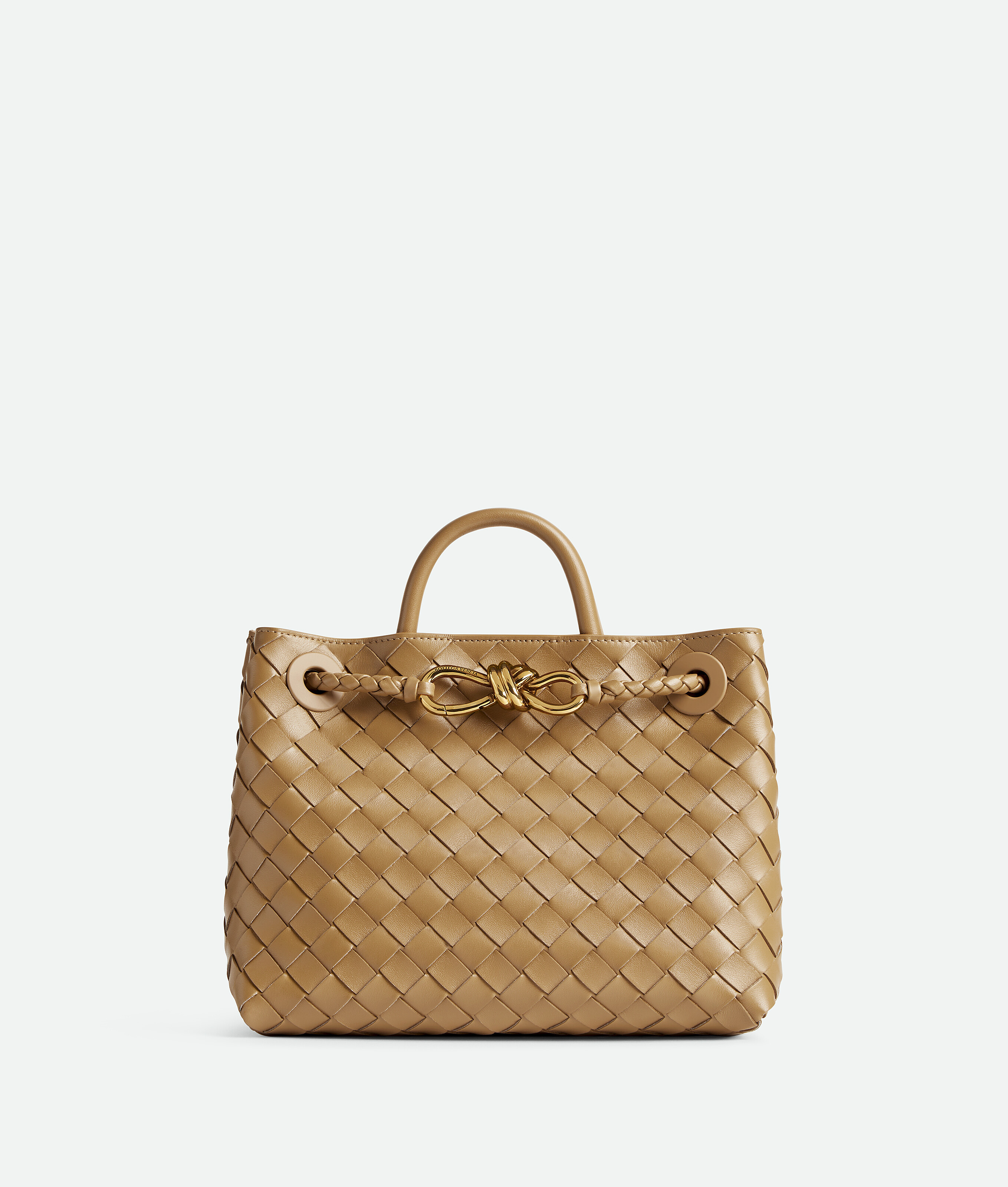 Bottega Veneta Small Leather Andiamo Shoulder Bag In Dark Praline