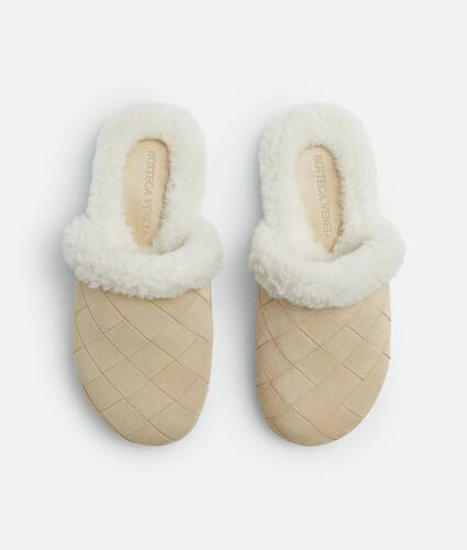 Slipper Reggie