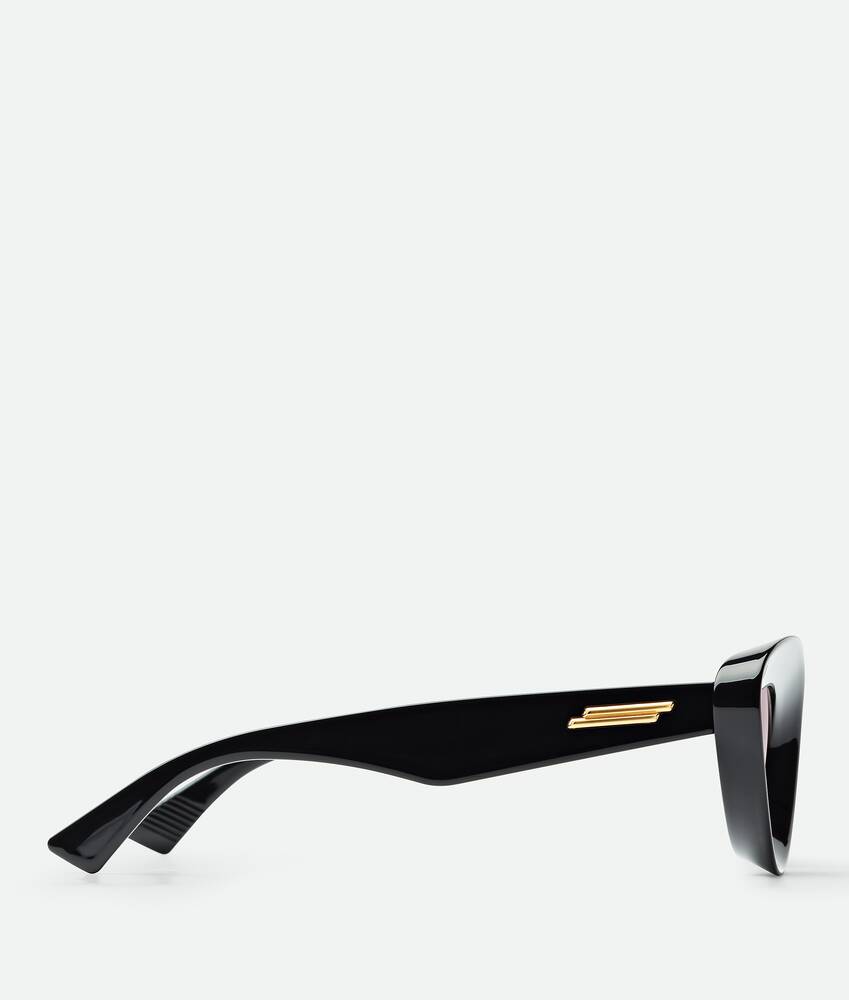 Display a large version of the product image 3 - Sharp Cat Eye Sunglasses