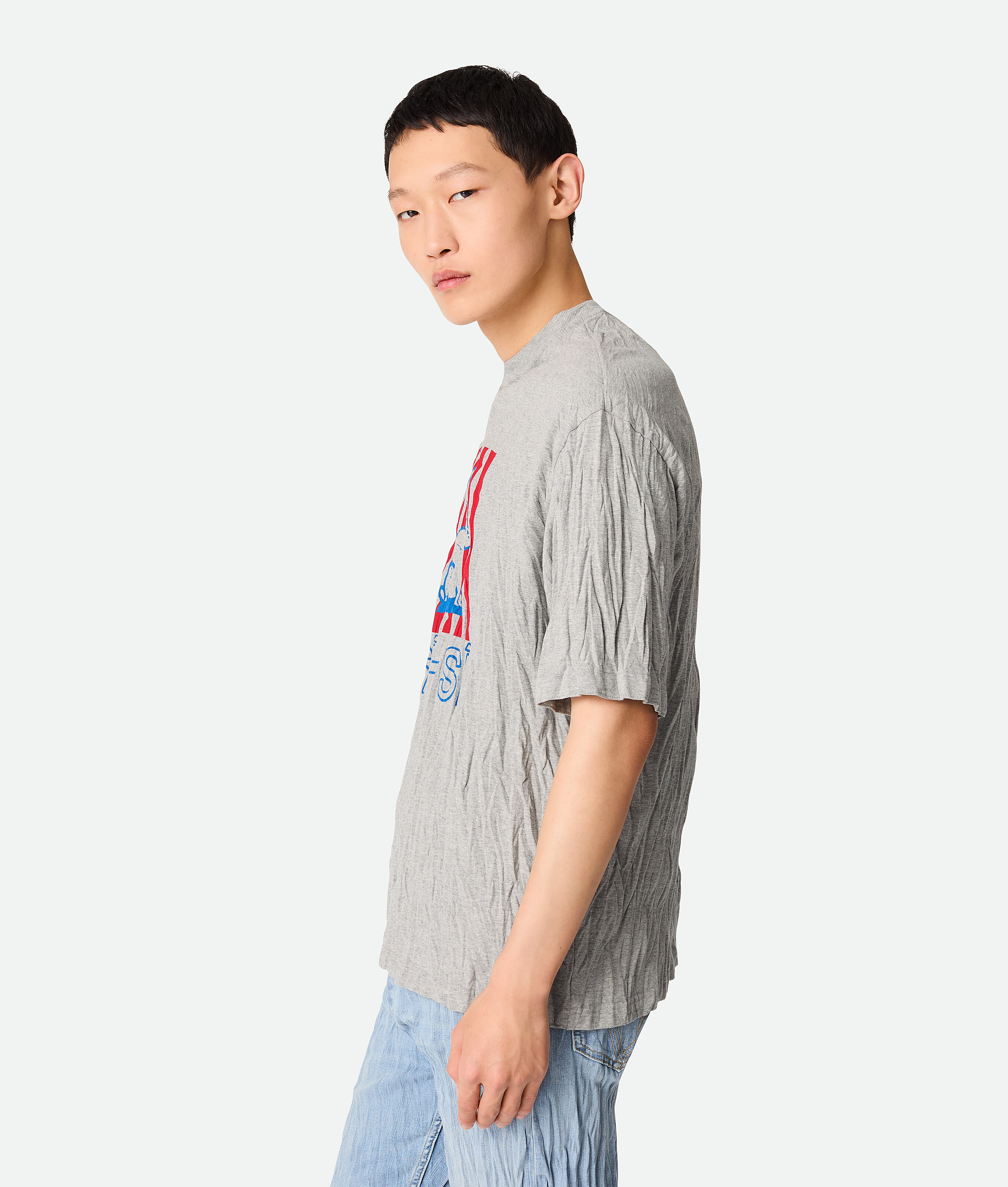 Bottega Veneta Graphic Rabbit-print Crushed Cotton Jersey T-shirt In Gray