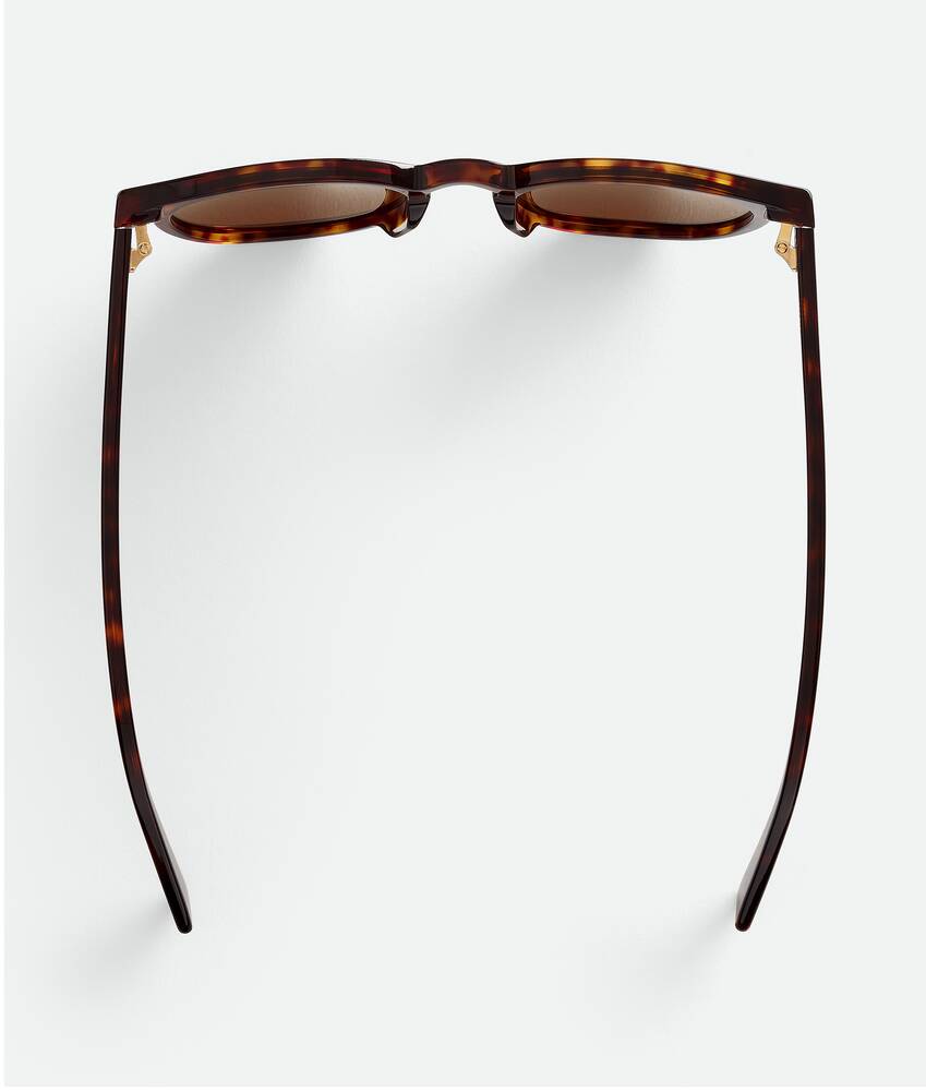 Display a large version of the product image 4 - Soft Recycled Acetate Panthos Sunglasses