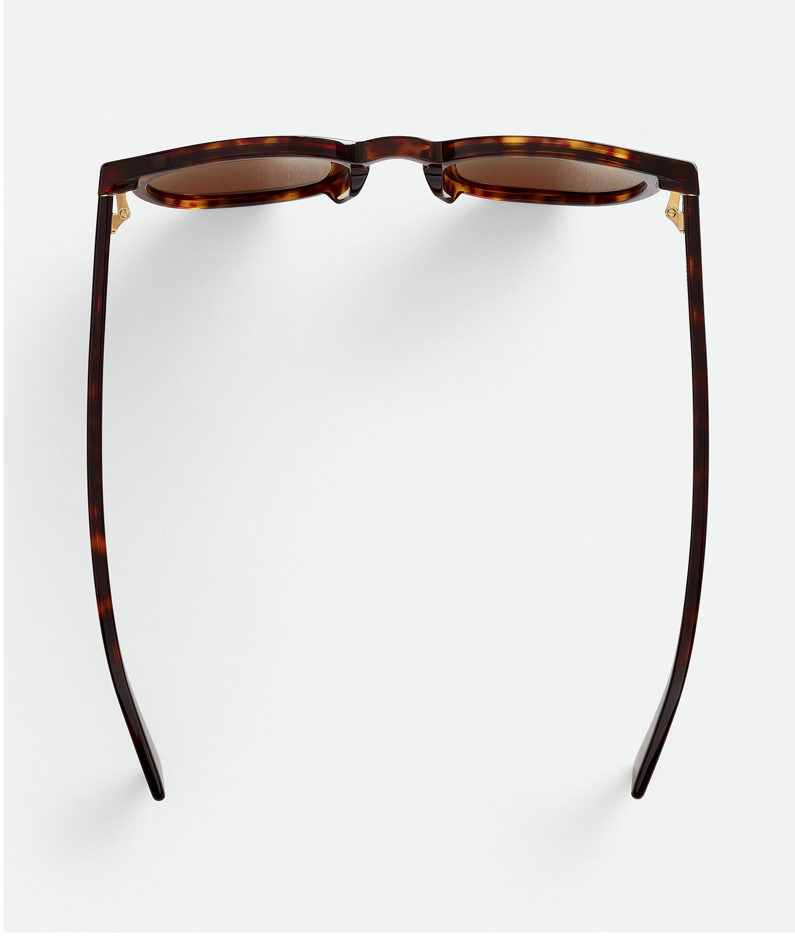 Shop Bottega Veneta Soft Recycled Acetate Panthos Sunglasses In Brown
