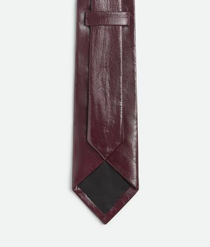Shiny Leather Tie