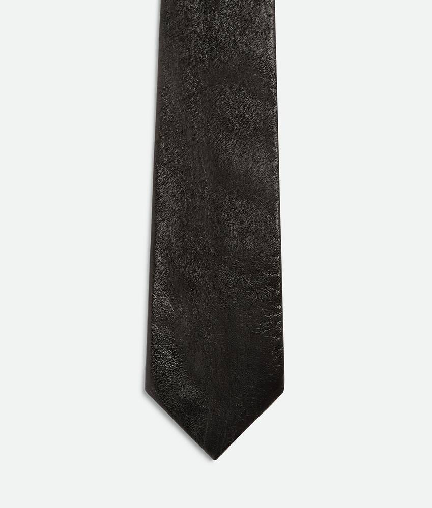 Display a large version of the product image 1 - Shiny Leather Tie